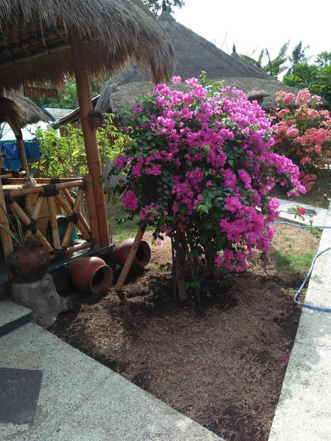 Tua Tua Keladi Bungalows Gili Air Esterno foto